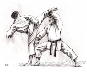 self-defense-adultes